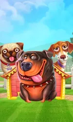The Dog House